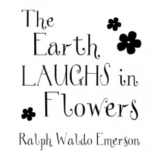 The Earth Laughs...
