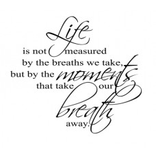 Life Is Not...